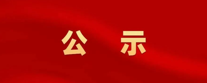 重磅！恭喜我司总经理徐仕徽先生被评为第二届第三批长三角G60科创走廊（松江区）青年创业英才候选人